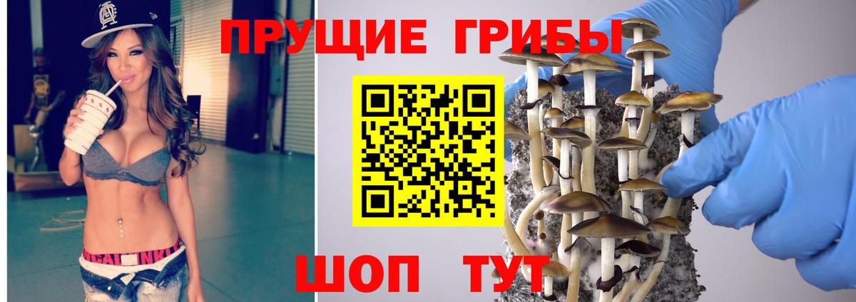 Гурьевск  Галлюциногенные грибы Psilocybine cubensis  Вход с VPN 